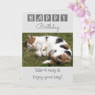 Happy Birthday take it easy cat photo grey