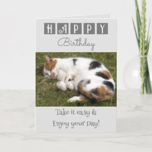 Happy Birthday take it easy cat photo grey Card