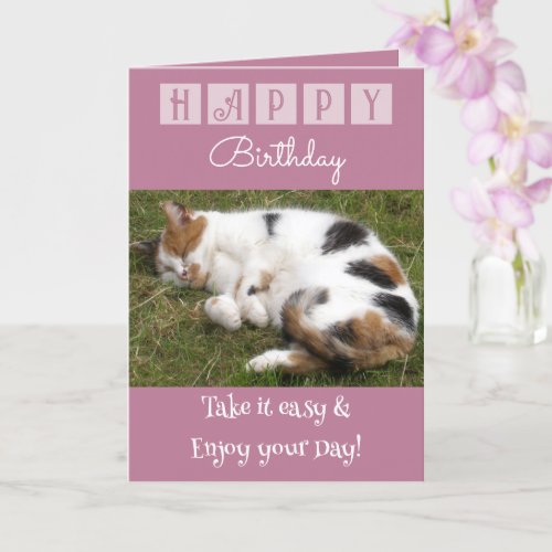 Happy Birthday take it easy cat photo pink Card