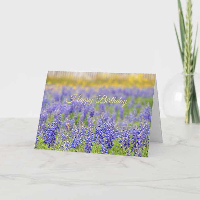 Happy Birthday, Texas Bluebonnet Field Card | Zazzle.com