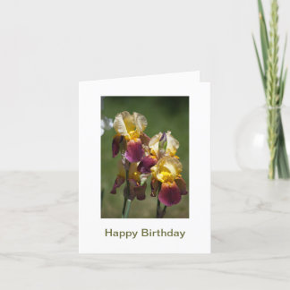 Happy Birthday to a Beautiful Lady Card