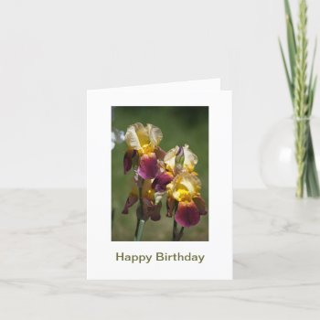 Happy Birthday To A Beautiful Lady Card by bluerabbit at Zazzle