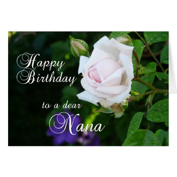 Happy Birthday to a dear Nana Pink Rose Card