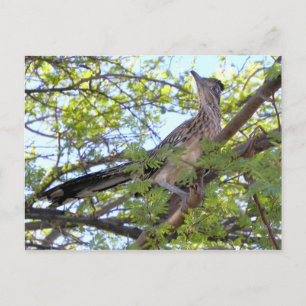 Happy birthday to a special friend. postcard