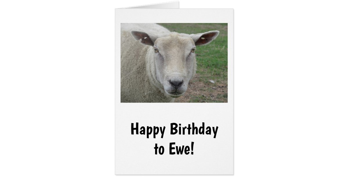 Happy Birthday to Ewe Card | Zazzle