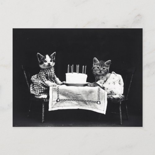 Happy Birthday to Meow  Kitties with Cake Postcard