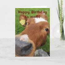 Happy birthday to moo greeting card