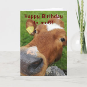 Happy birthday to moo greeting card