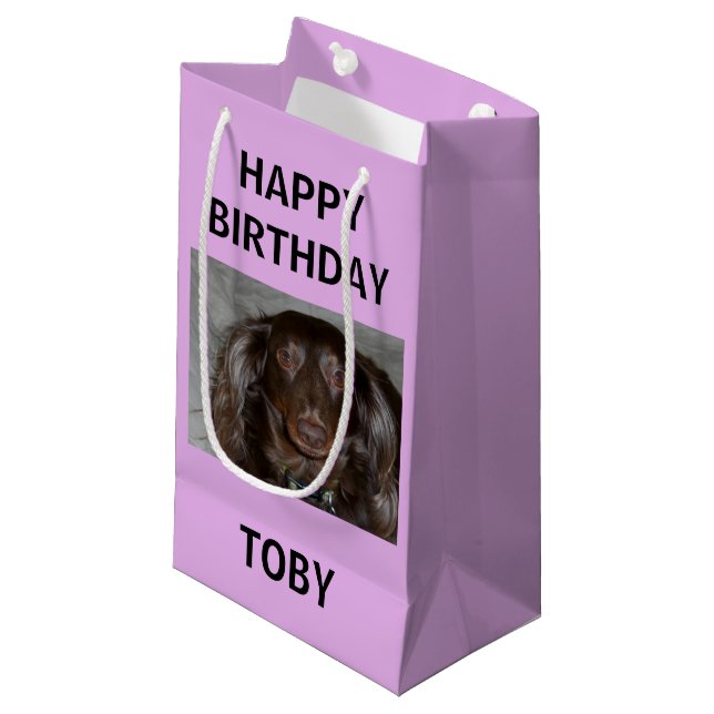 Happy Birthday To My Baby Dog Small Gift Bag (Front Angled)