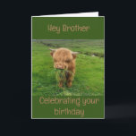 "HAPPY BIRTHDAY" TO MY **BROTHER** CARD<br><div class="desc">THANKS YOU FOR STOPPING BY ONE OF MY EIGHT STORES!</div>