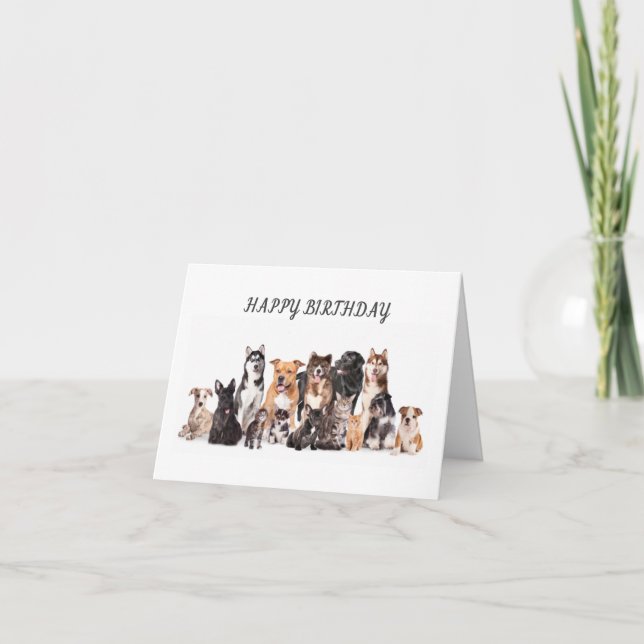 **HAPPY BIRTHDAY TO MY FAVORITE VETERINARIAN** CARD (Front)