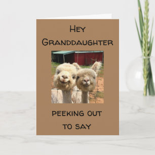 HAPPY *BIRTHDAY* TO MY *GRANDDAUGHTER* CARD