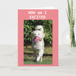 HAPPY BIRTHDAY TO MY *GRANDDAUGHTER* CARD