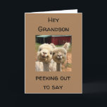 HAPPY *BIRTHDAY* TO MY *GRANDSON* CARD<br><div class="desc">TO MY ***GRANDSON*** HAPPY BIRTHDAY AND THANK YOU FOR STOPPING BY ONE OF MY EIGHT STORES!!!</div>