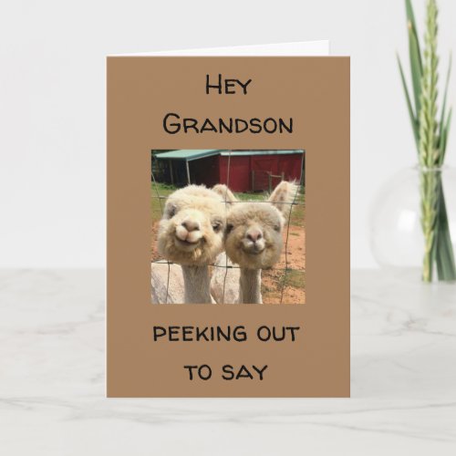 HAPPY *BIRTHDAY* TO MY *GRANDSON* CARD