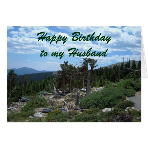 Happy Birthday to my Husband Card | Zazzle