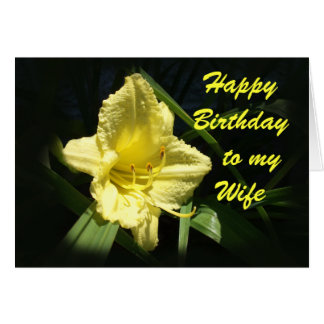 Beautiful 99 Happy Birthday To My Wife Card