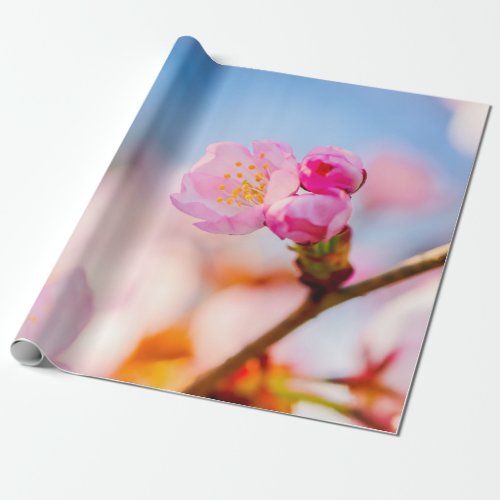 Happy Birthday To Sakura Cherry Blossoms Wrapping Paper