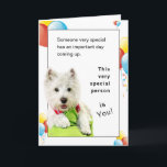 Happy Birthday to Someone Special With a Westie Card<br><div class="desc">It is wonderful to have a special friend. Celebrate their Birthday by giving them a special card on their special day. On the front of this card is Oliver, a White West Highland Terrier laying on a green pillow. To give it a birthday feeling, I have included yellow, red, and...</div>