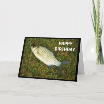 Happy Birthday To Someone With A Cute Little Bass! Card by MortOriginals at Zazzle
