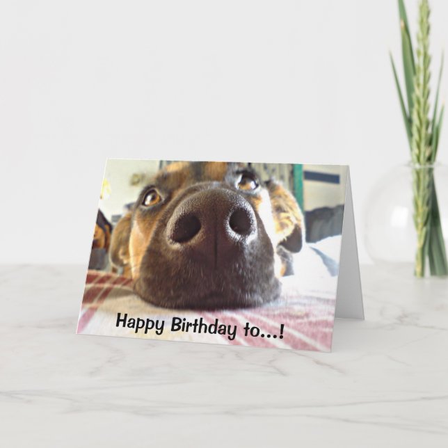 Happy Birthday to the One ILove Cute Dog Card (Front)