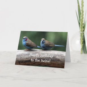 Happy birthday to the twins! card