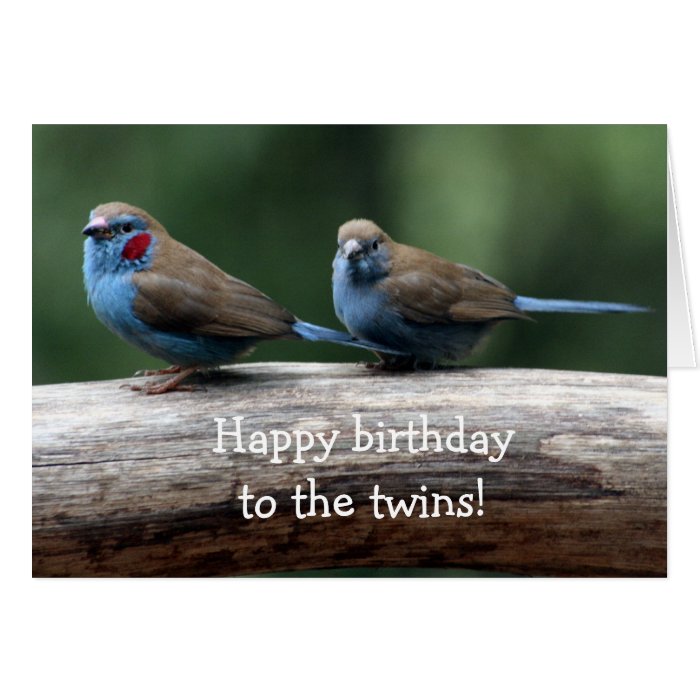 Happy birthday to the twins cards