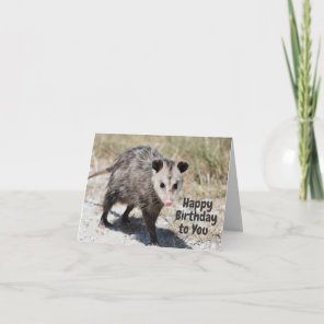 Happy Birthday to You Cute Opossum Walking  Card