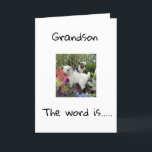HAPPY BIRTHDAY TO YOU **GRANDSON** CARD<br><div class="desc">HAPPY BIRTHDAY  ***GRANDSON**** THANKS FOR STOPPING BY ONE OF MY EIGHT STORES!</div>