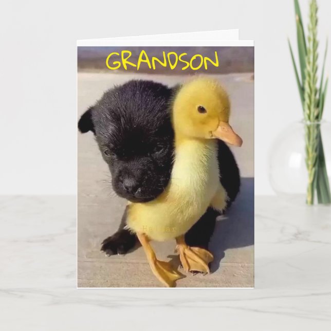 HAPPY BIRTHDAY TO YOU **GRANDSON** CARD (Front)