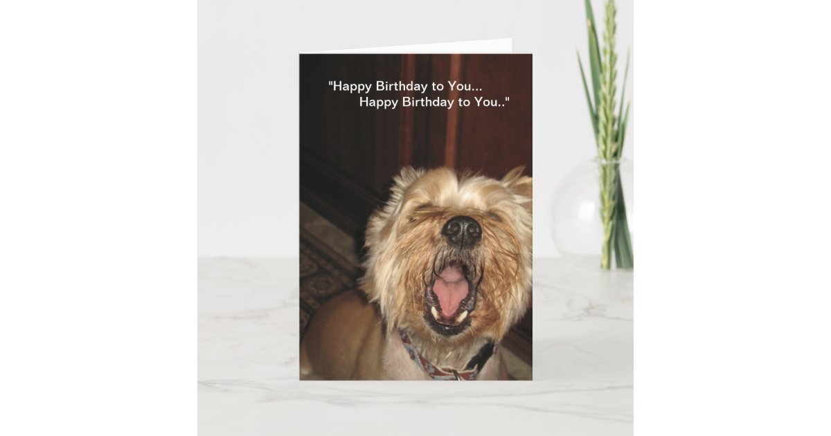 "Happy Birthday to You" - Singing Dog Card | Zazzle.com