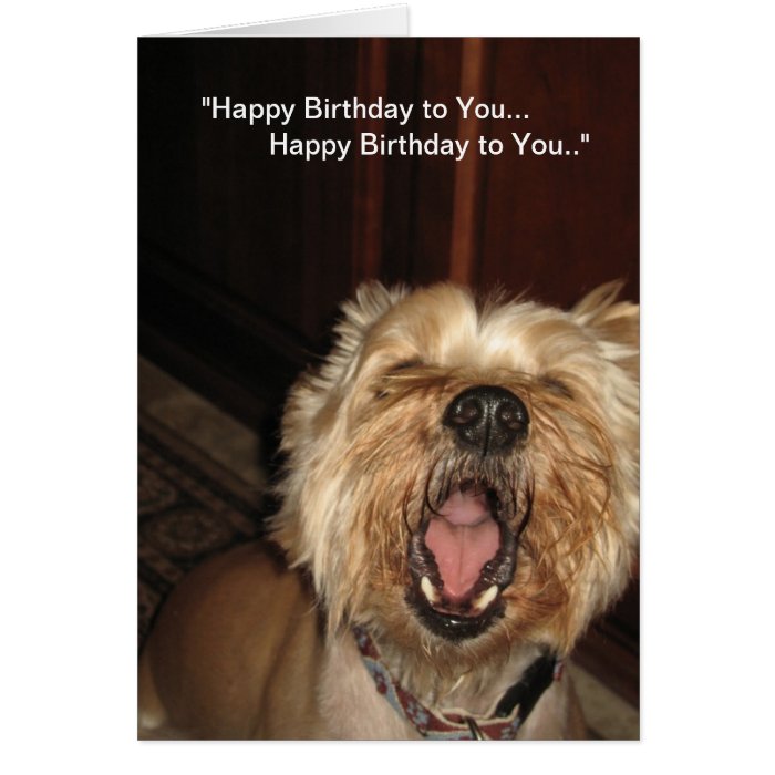"Happy Birthday to You" - Singing Dog Card | Zazzle
