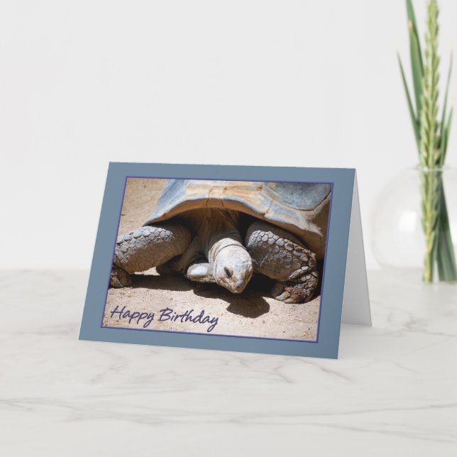 Happy Birthday Tortoise Card (Front)