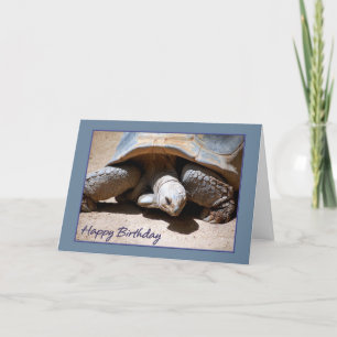 Happy Birthday Tortoise Greeting Card