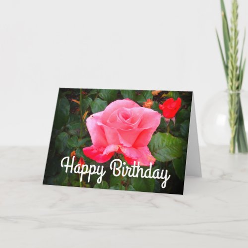 Happy Birthday Touch of Class Rose 1 Card