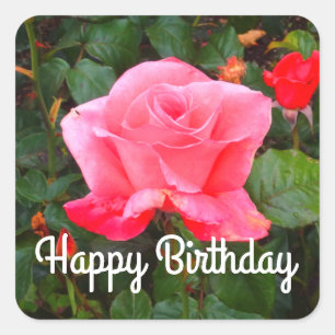 Happy Birthday Touch of Class Rose #1 Stickers