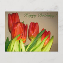 Happy Birthday! Tulips Postcard