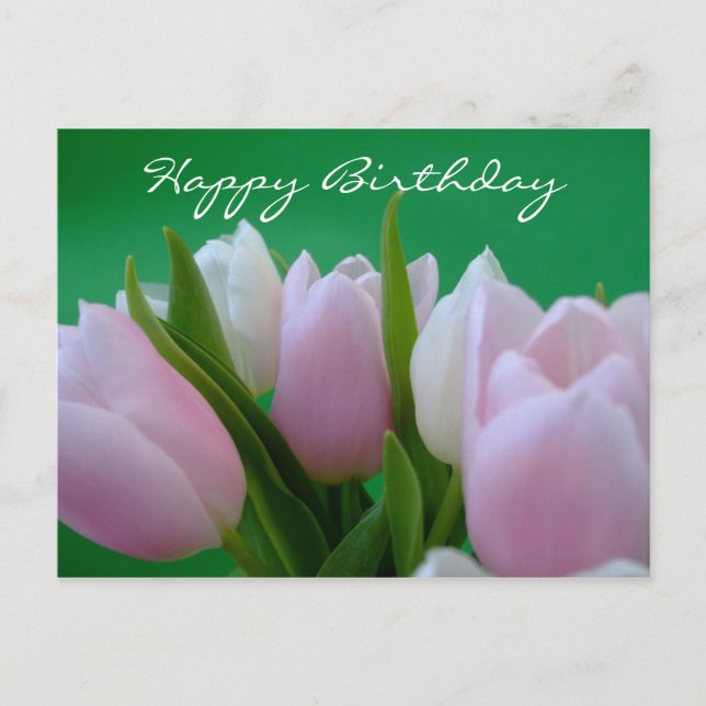 Happy Birthday - Tulips Postcard (Front)