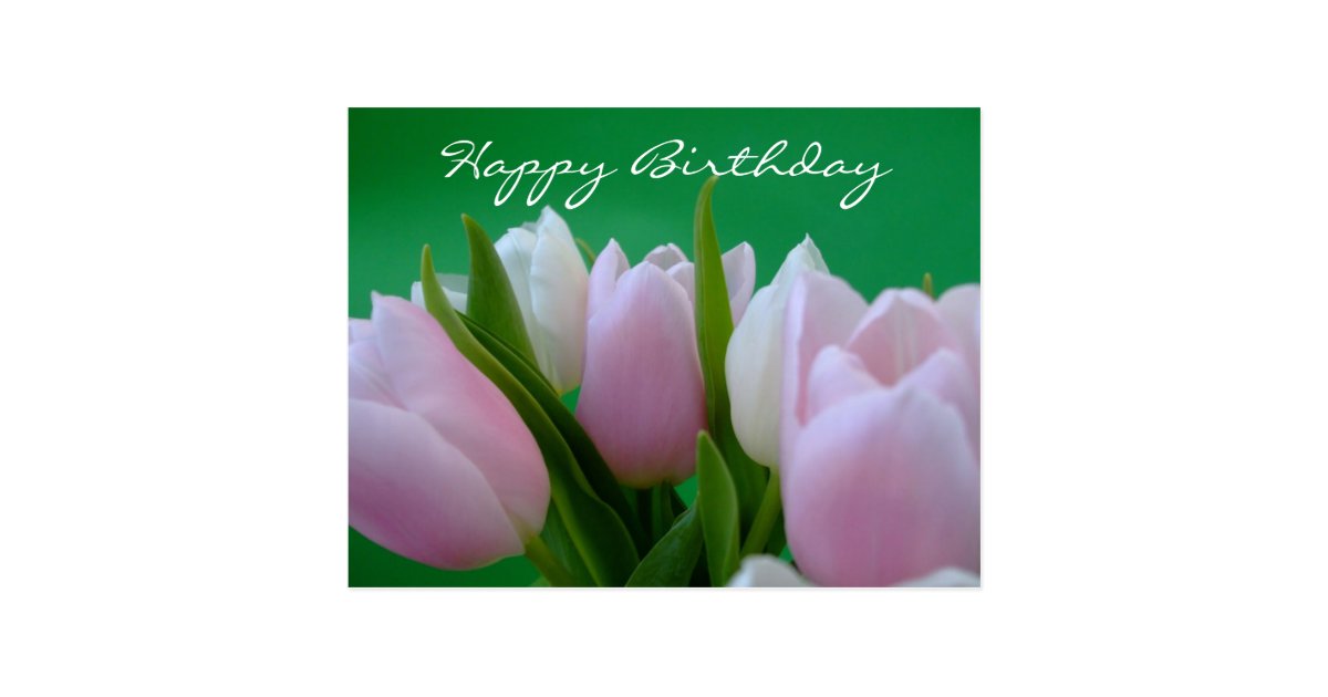 Happy Birthday Tulips Postcard Zazzle Com