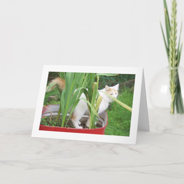 HAPPY BIRTHDAY - TURKISH VAN LOVING WISHES CARD (Front)