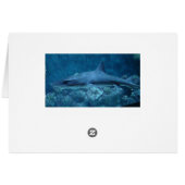 Happy Birthday Turtle and Shark Birthday Card (Back Horizontal)