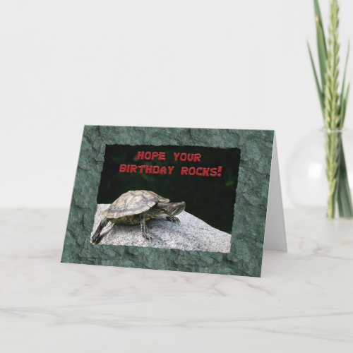 Happy Birthday Turtle on Rock Card