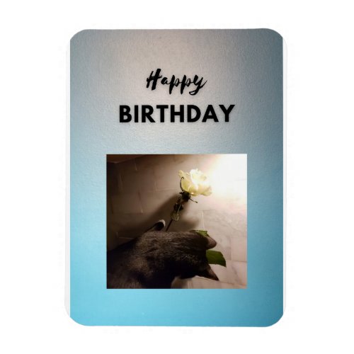 Happy Birthday Tuxedo cat with a rose Card Magnet