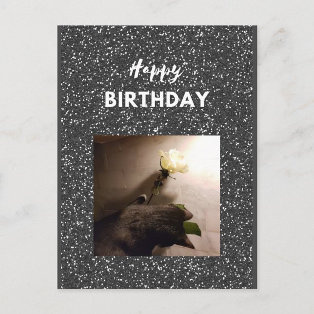 Happy Birthday. Tuxedo cat with a rose. Postcard (Front)