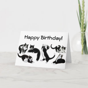 Happy Birthday Tuxedo Cats Card