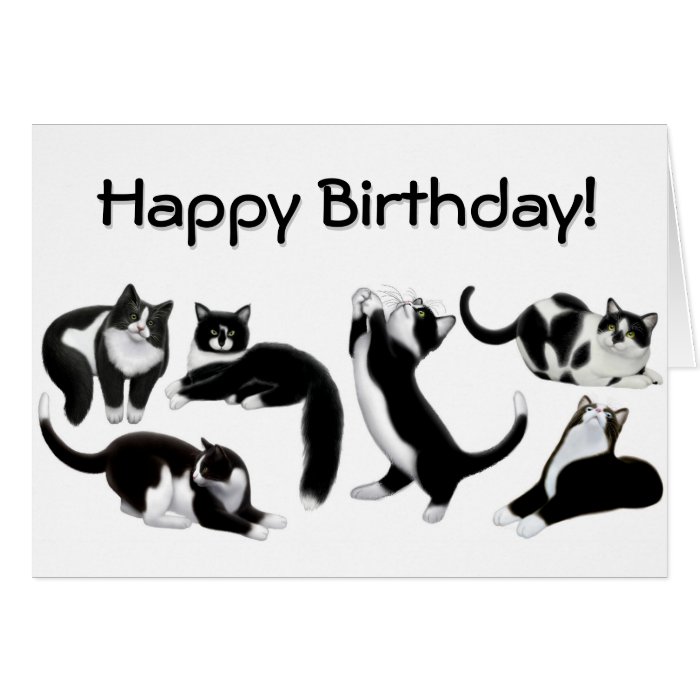 Happy Birthday Tuxedo Cats Card