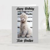 **HAPPY BIRTHDAY TWIN BROTHER** CARD | Zazzle