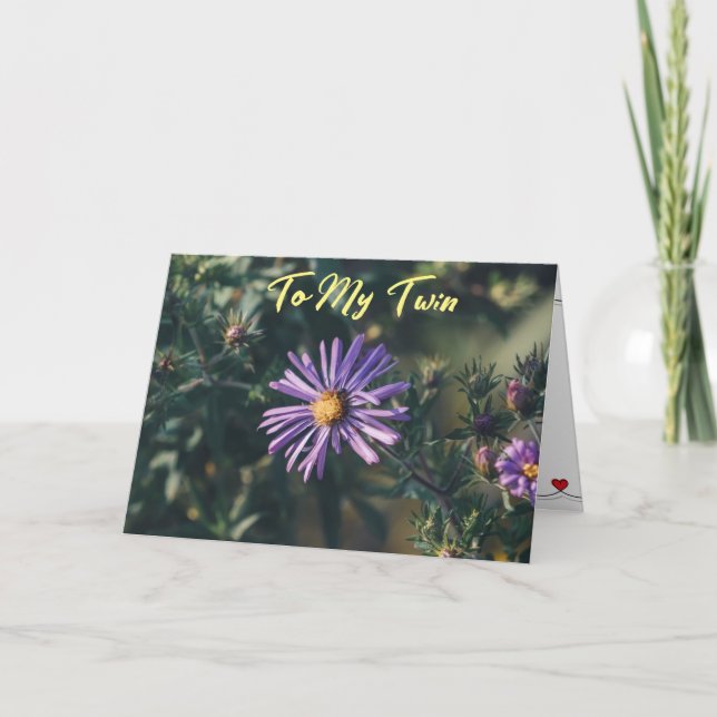 HAPPY BIRTHDAY ***TWIN*** CARD (Front)