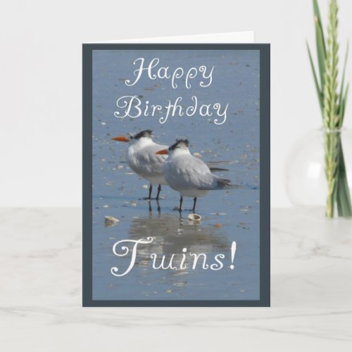 Happy Birthday Twins_Identical Seabirds on a Beach Card