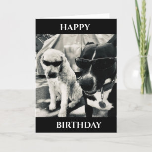 **"HAPPY BIRTHDAY*** UNCLE CARD from COOL DOGS